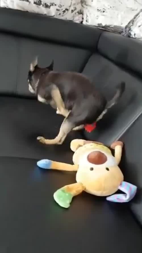 Play Video