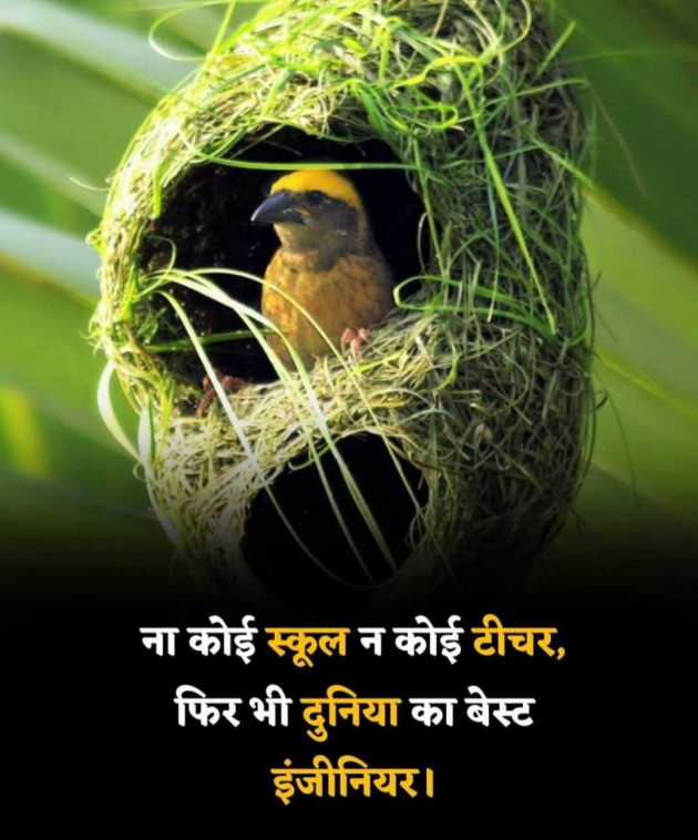 Gujarati Motivational by N¡k¡t@ : 111987450