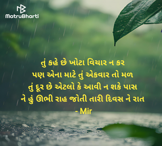 Gujarati Shayri by Mir : 111987559