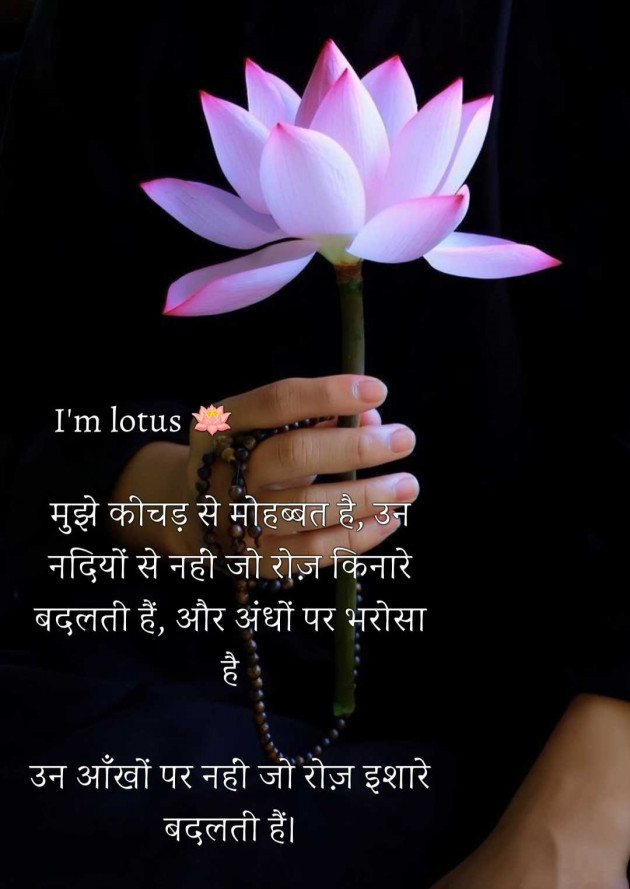 English Motivational by LOTUS : 111987705