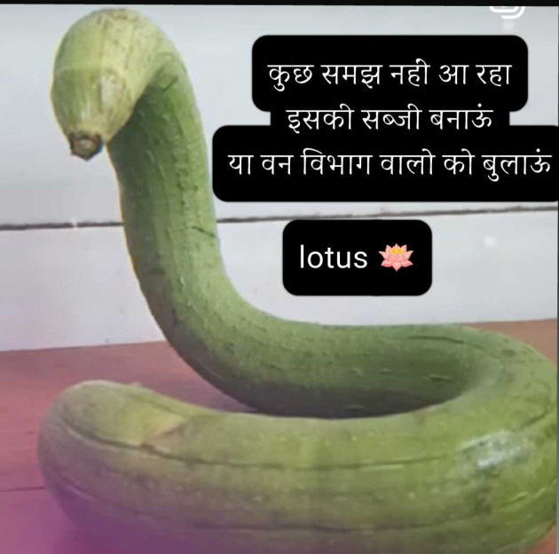 English Quotes by LOTUS : 111987766