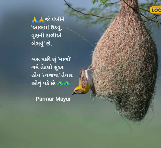 Gujarati Good Morning by Parmar Mayur : 111987825