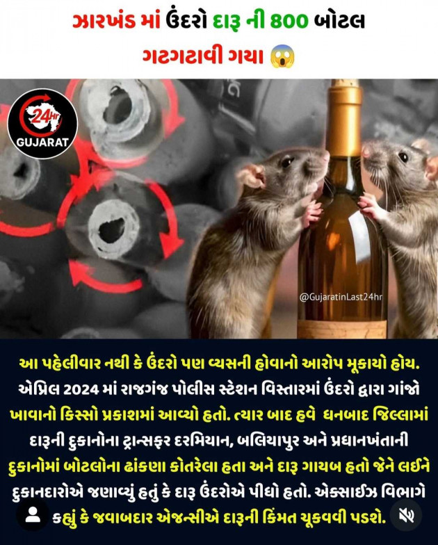 Gujarati Funny by N¡k¡t@ : 111987829