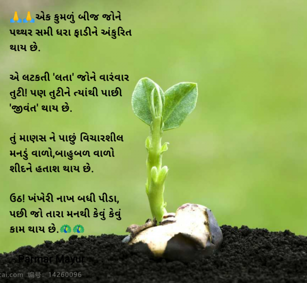 Gujarati Good Morning by Parmar Mayur : 111988019