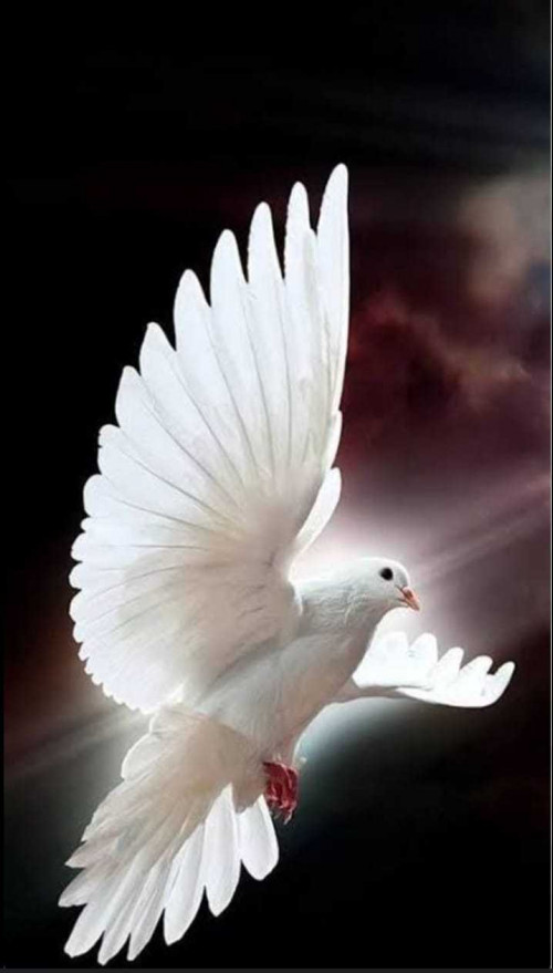 Post by Akshay Tiwari on 21-Jul-2025 04:53pm
