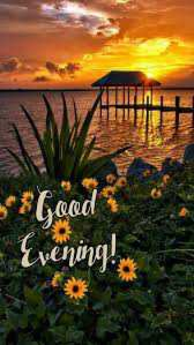 English Good Evening by kattupaya s : 111988425