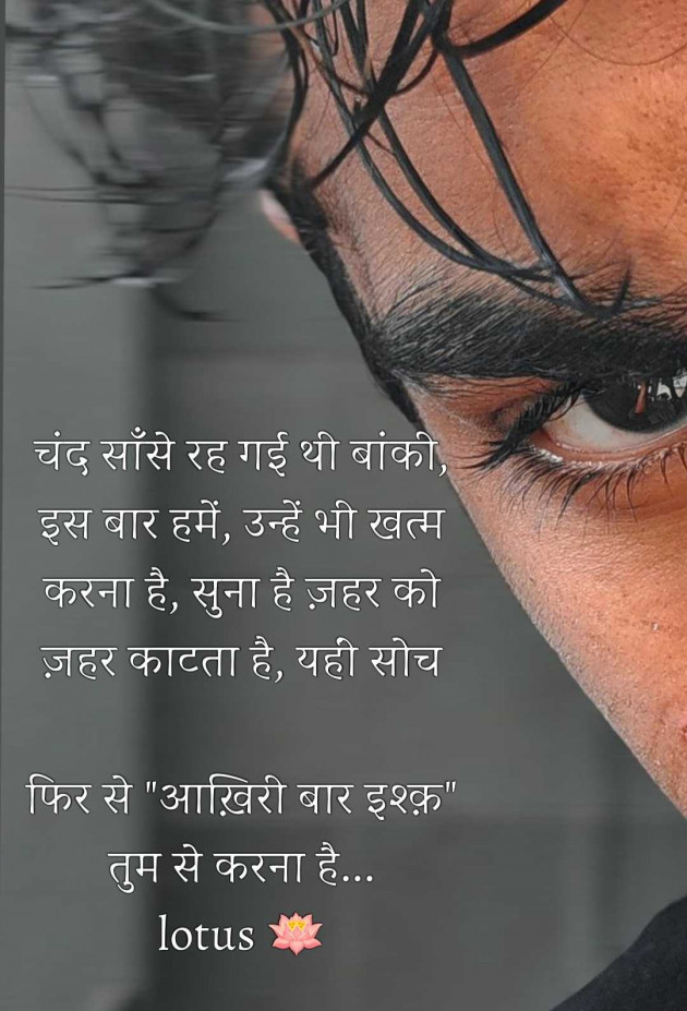 English Motivational by LOTUS : 111988477