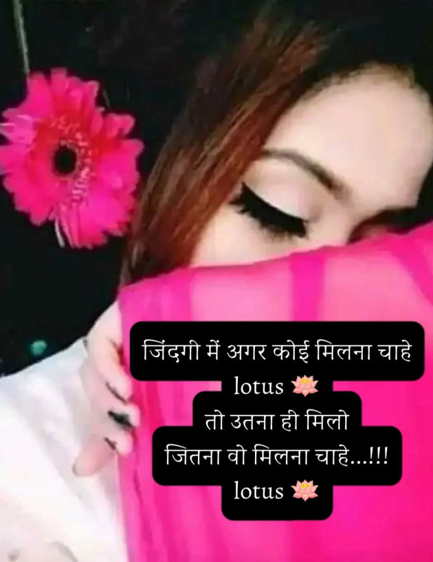 English Quotes by LOTUS : 111988799