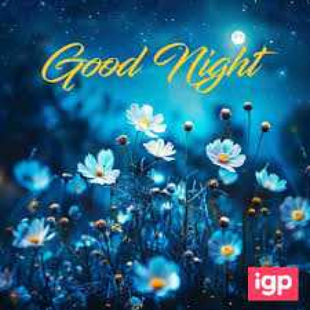 English Good Night by kattupaya s : 111988802