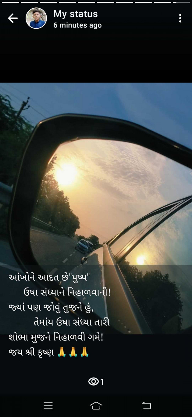 English Whatsapp-Status by Thakor Pushpaben Sorabji : 111988833