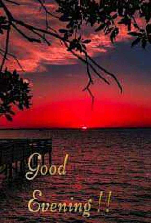 English Good Evening by kattupaya s : 111988906