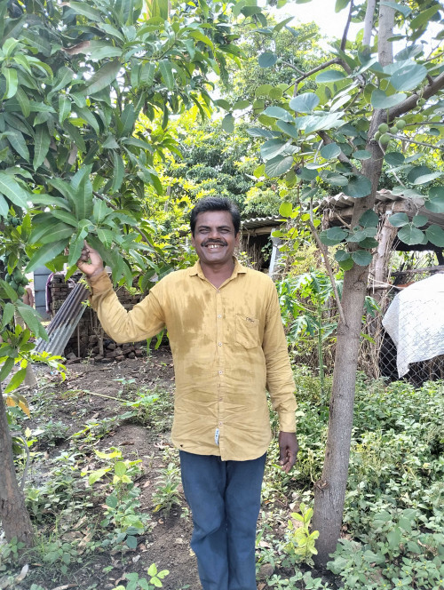 Post by Manjibhai Bavaliya મનરવ on 24-Jul-2025 06:20pm