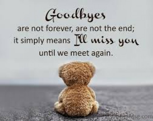 Post by kattupaya s on 24-Jul-2025 06:30pm