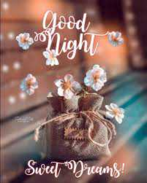 Post by kattupaya s on 24-Jul-2025 08:58pm