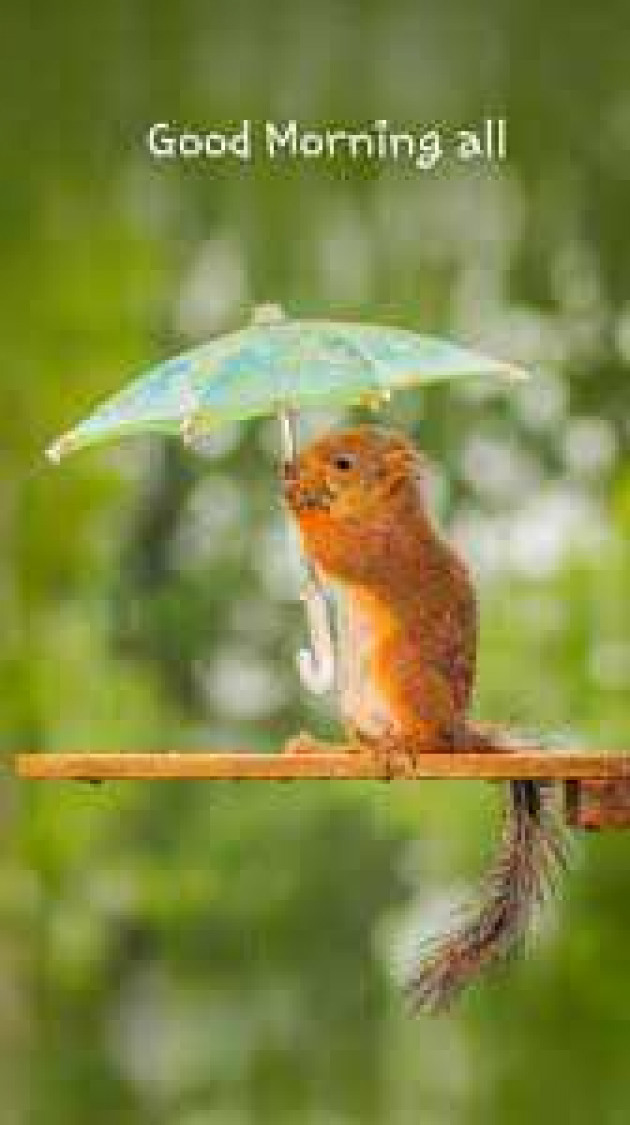 English Good Morning by kattupaya s : 111989019