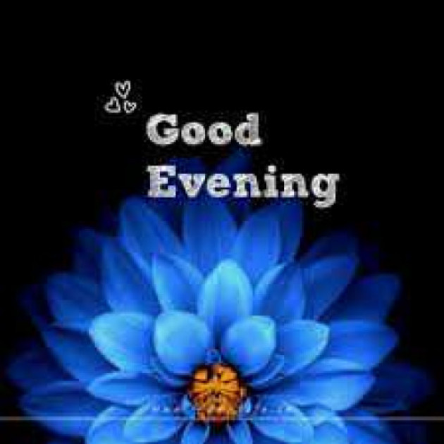 English Good Evening by kattupaya s : 111989087