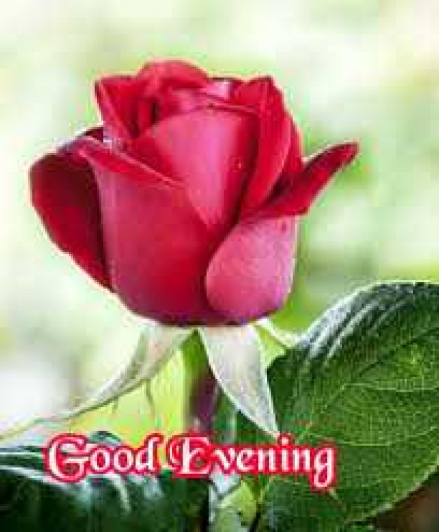 English Good Evening by kattupaya s : 111989273