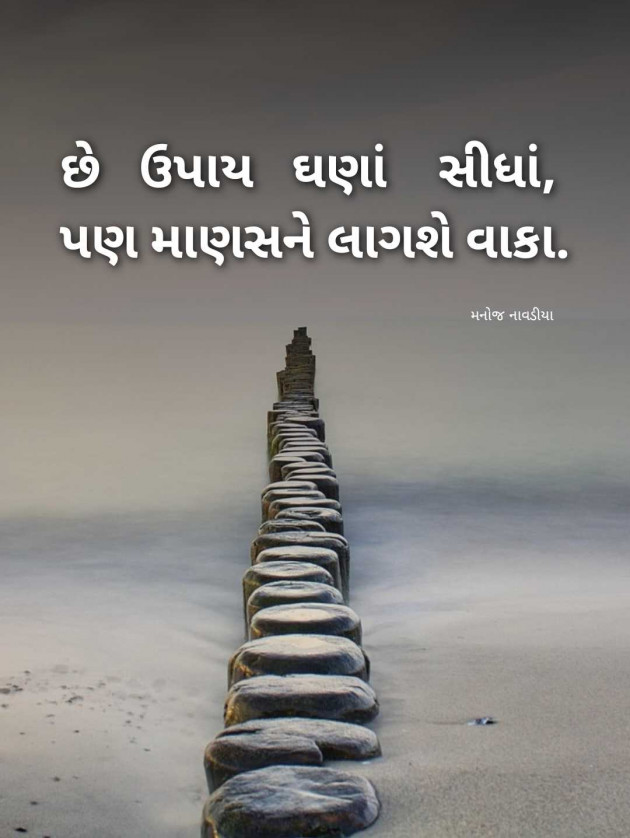 Gujarati Motivational by મનોજ નાવડીયા : 111989525