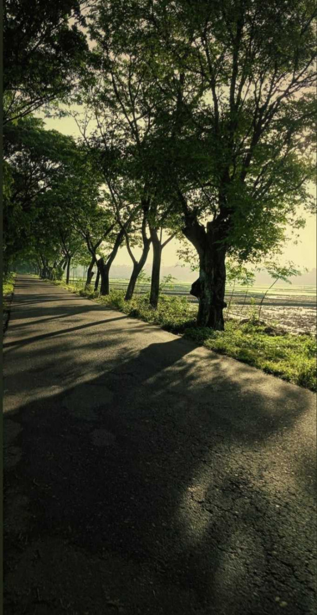 Hindi Poem by Shivangi Vishwakarma : 111989544