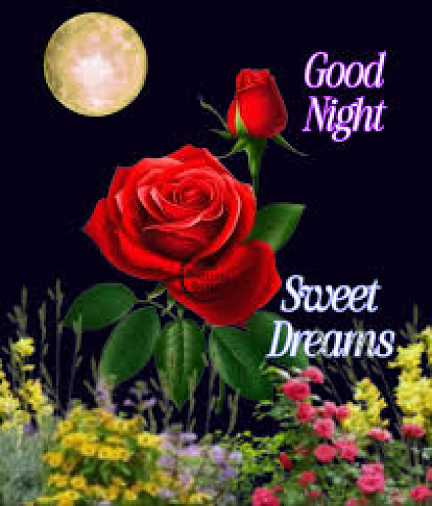 English Good Night by kattupaya s : 111989667