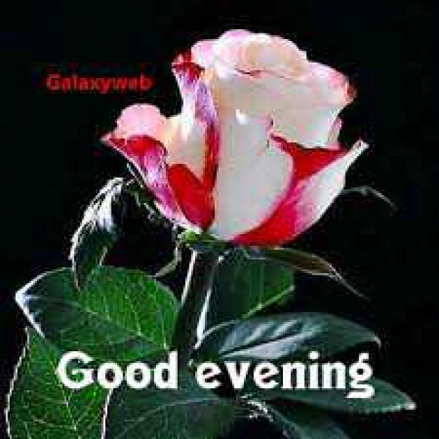 English Good Evening by kattupaya s : 111989785