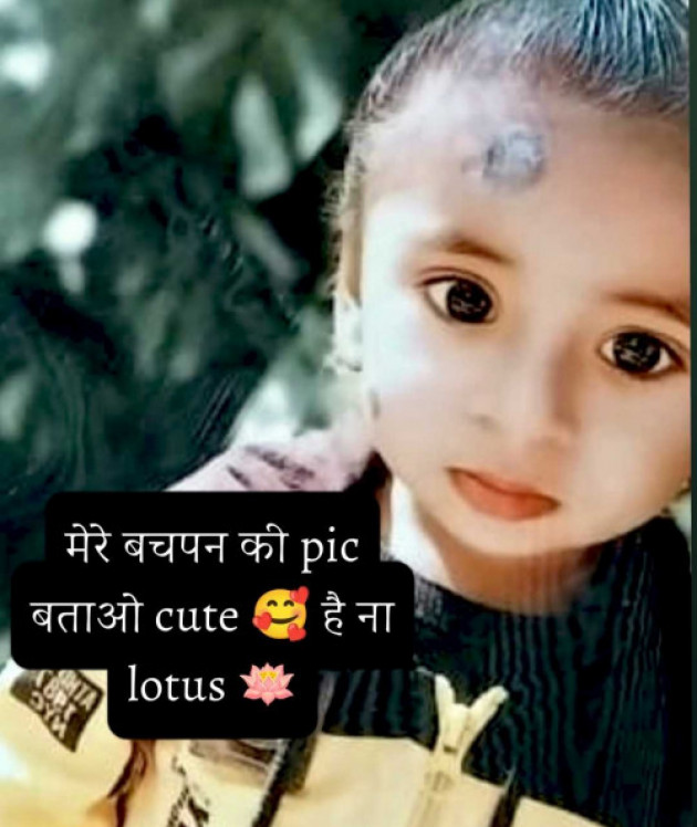 English Whatsapp-Status by LOTUS : 111989808