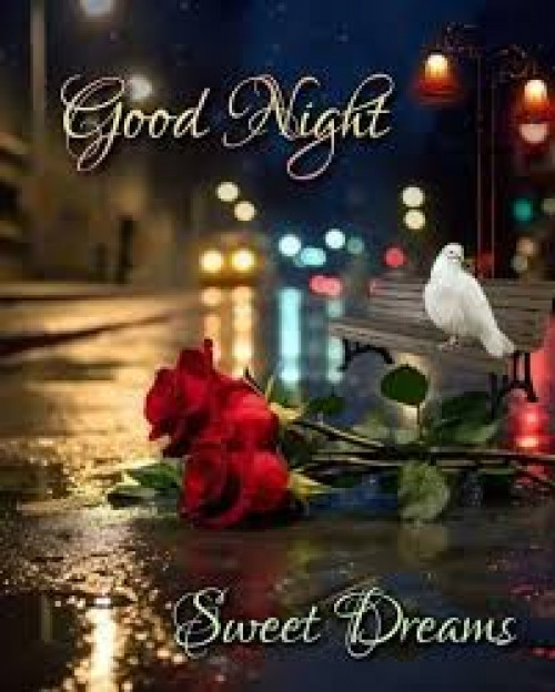 Post by kattupaya s on 29-Jul-2025 08:39pm
