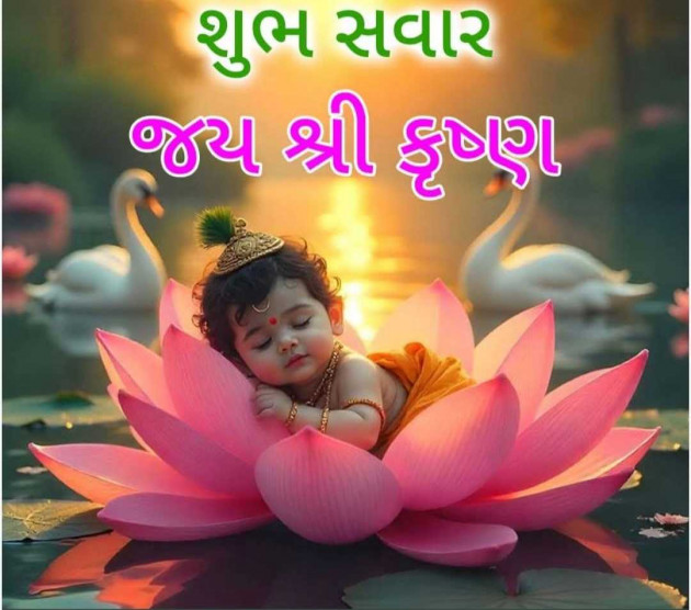 English Good Morning by N¡k¡t@ : 111989880