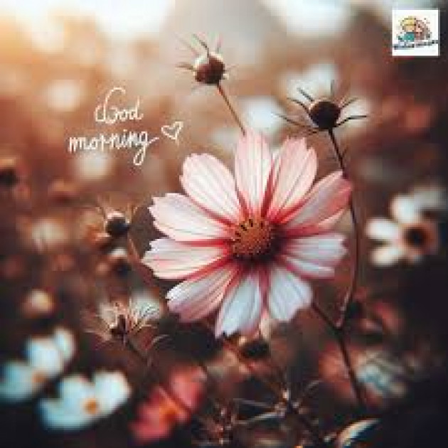 English Good Morning by kattupaya s : 111989883