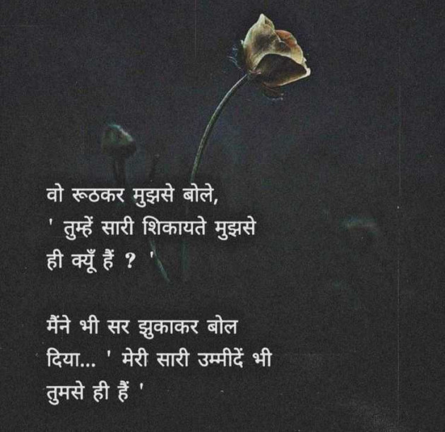 English Whatsapp-Status by Rinky : 111989975