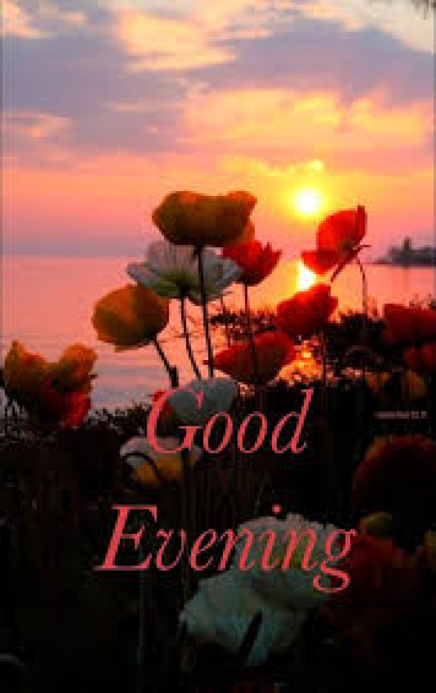 English Good Evening by kattupaya s : 111989976